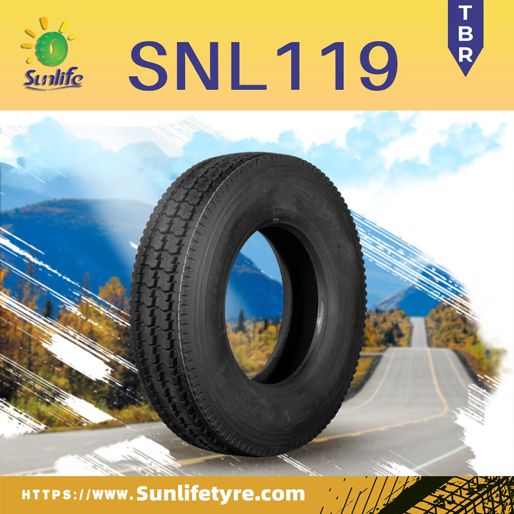 SNL119